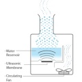 Ultrasonic diffusers vs. cold air nebulization
