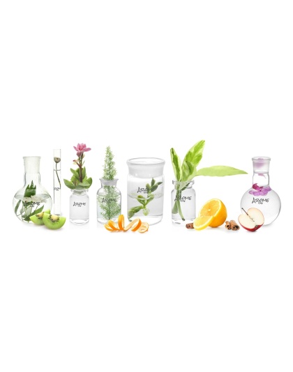 Essential Oil Discovery Kit